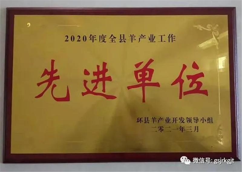 甘肃乐天堂fun88庆阳担保公司获2020年度环县全县羊产业工作先进单位称号